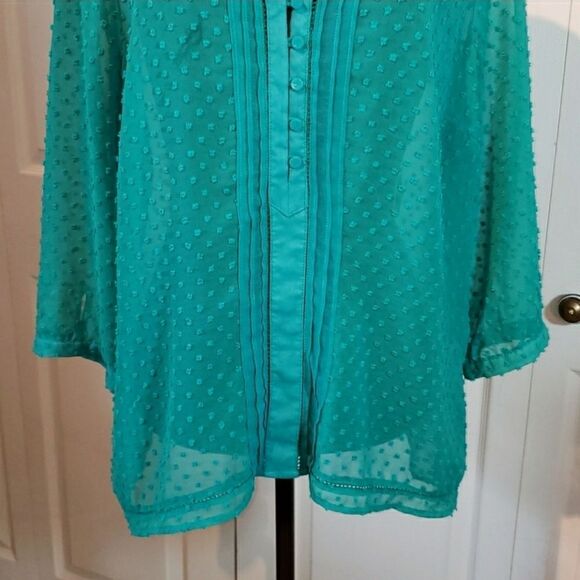 Romy Sheer Green Long Sleeve Blouse - Picture 3 of 7